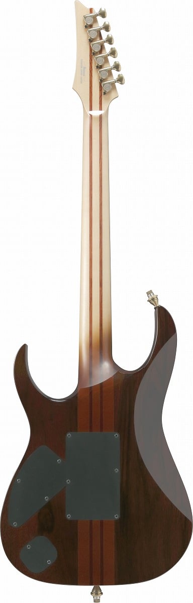 Ibanez / VISIONS IV1RG《주문 생산・예약 주문/납기 목표: 1년》 사진 4