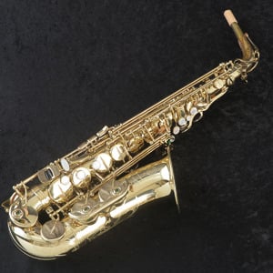 SELMER シリーズ3の検索結果 | ギター、アコギ、管楽器などを扱う全国