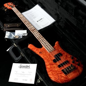 その他タイプ × SPECTOR)の検索結果 | ギター、アコギ、管楽器などを