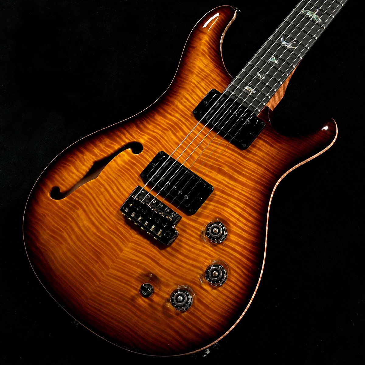 Paul Reed Smith (PRS) / 2025 DGT Semi-Hollow Pilot Run Custom