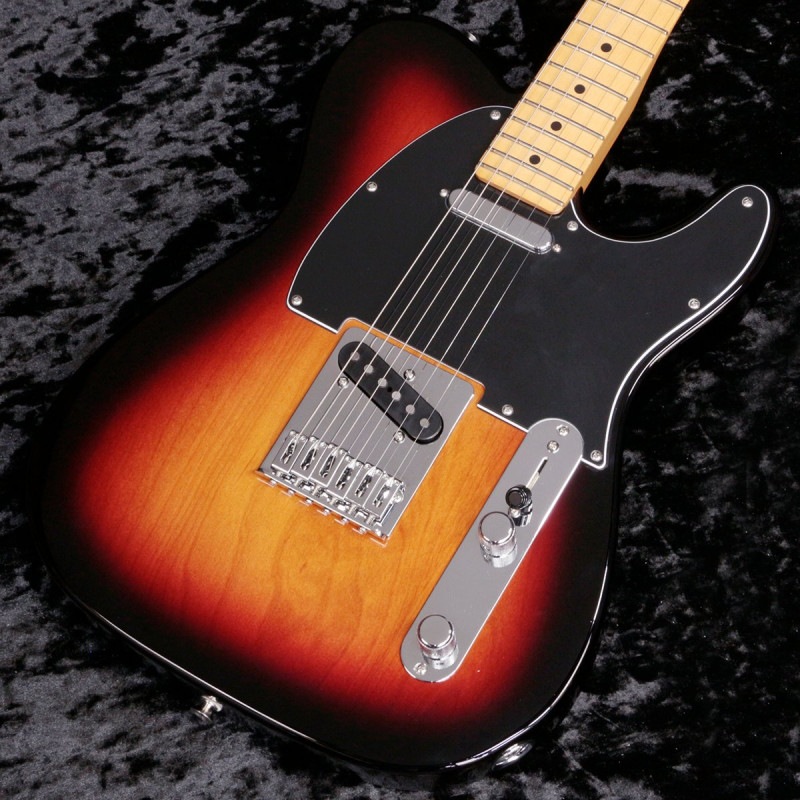 EX (テレキャスタータイプ × FENDER MEXICO × サンバースト)の検索結果