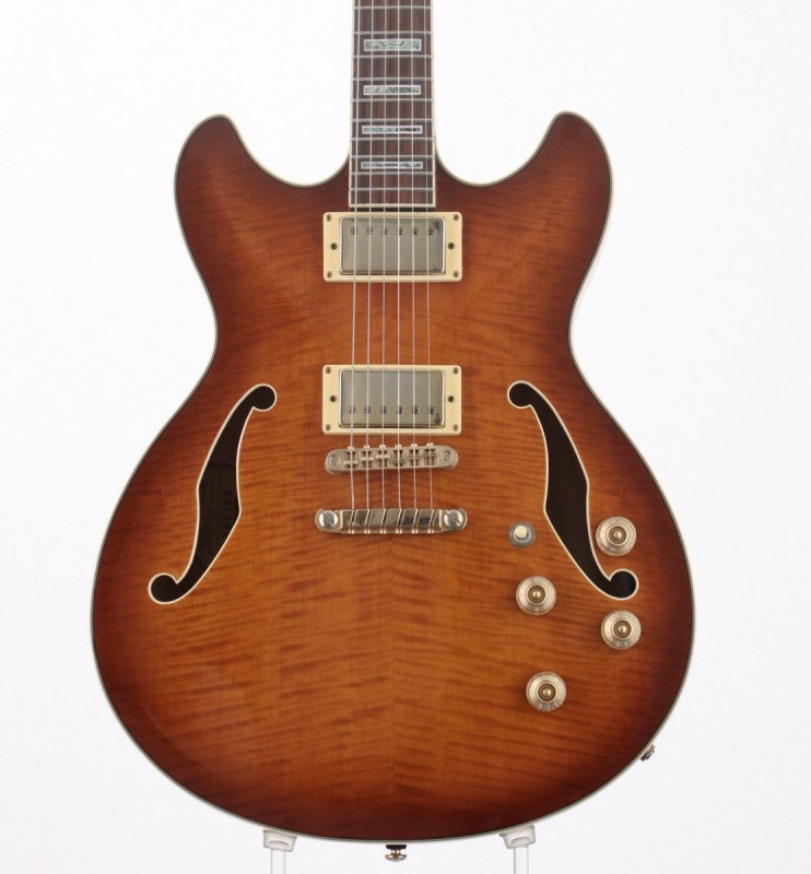 EX (セミアコ × IBANEZ × サンバースト)の検索結果 | ギター、アコギ