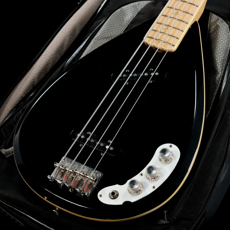 リッケンバッカータイプ　フェルナンデス　Burny リッケンバッカー (FERNANDES/BURNY)の検索結果 | ギター、アコギ