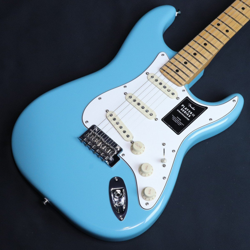 ストラトキャスタータイプ × FENDER MEXICO)の検索結果 | ギター