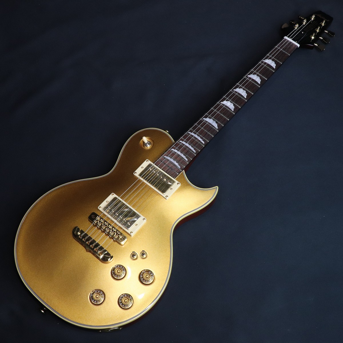 Aria Pro II / PE-F80 LTD (Limited) GDTP (Goldtop) [イシバシ楽器