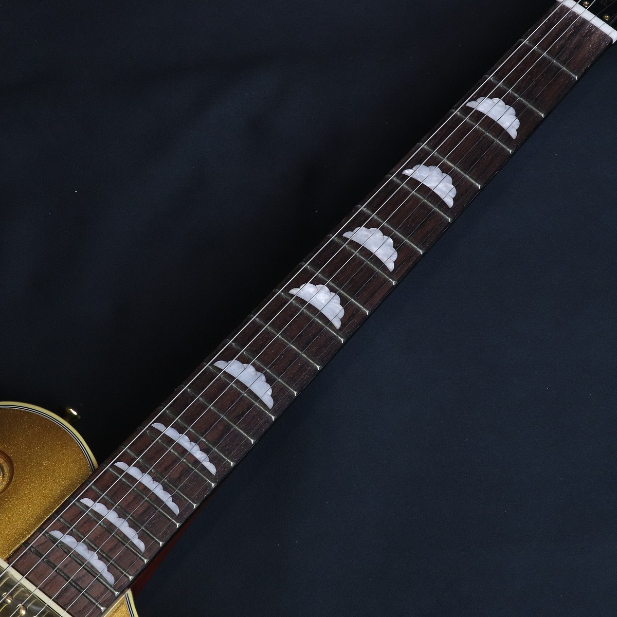 Aria Pro II / PE-F80 LTD (Limited) GDTP (Goldtop) [イシバシ楽器