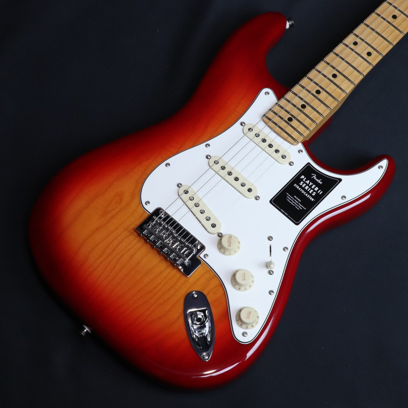 TR (FENDER MEXICO × サンバースト × 横浜店)の検索結果 | ギター