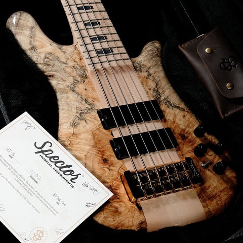 Spector / Custom Order NS-6 32inch Buckeye Burl Top Natural(重量:4.11kg)【S/N:2102】【渋谷店】《長期展示品チョイキズアウトレット特価》《渋谷店セール》