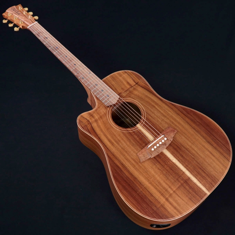 Cole Clark (オール単板) tp239-0212534_m.jpg