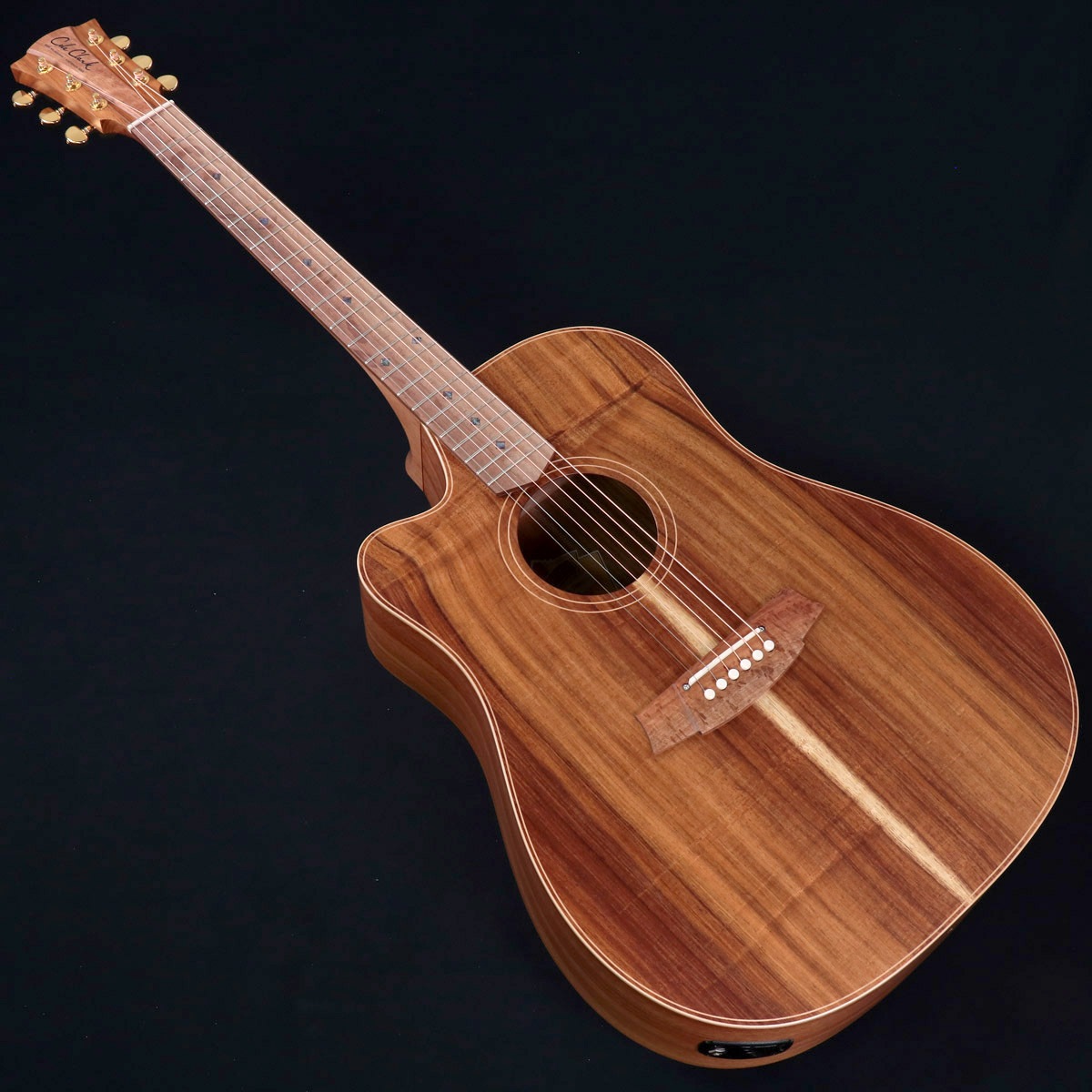 Cole Clark /《特典付き》 FL Dreadnought Series CCFL2EC-LH-BLBL 2