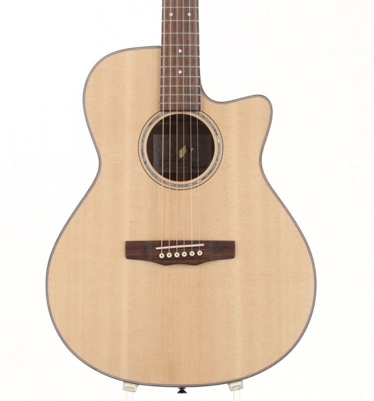 アコースティックギター × MORRIS)の検索結果 | ギター、アコギ