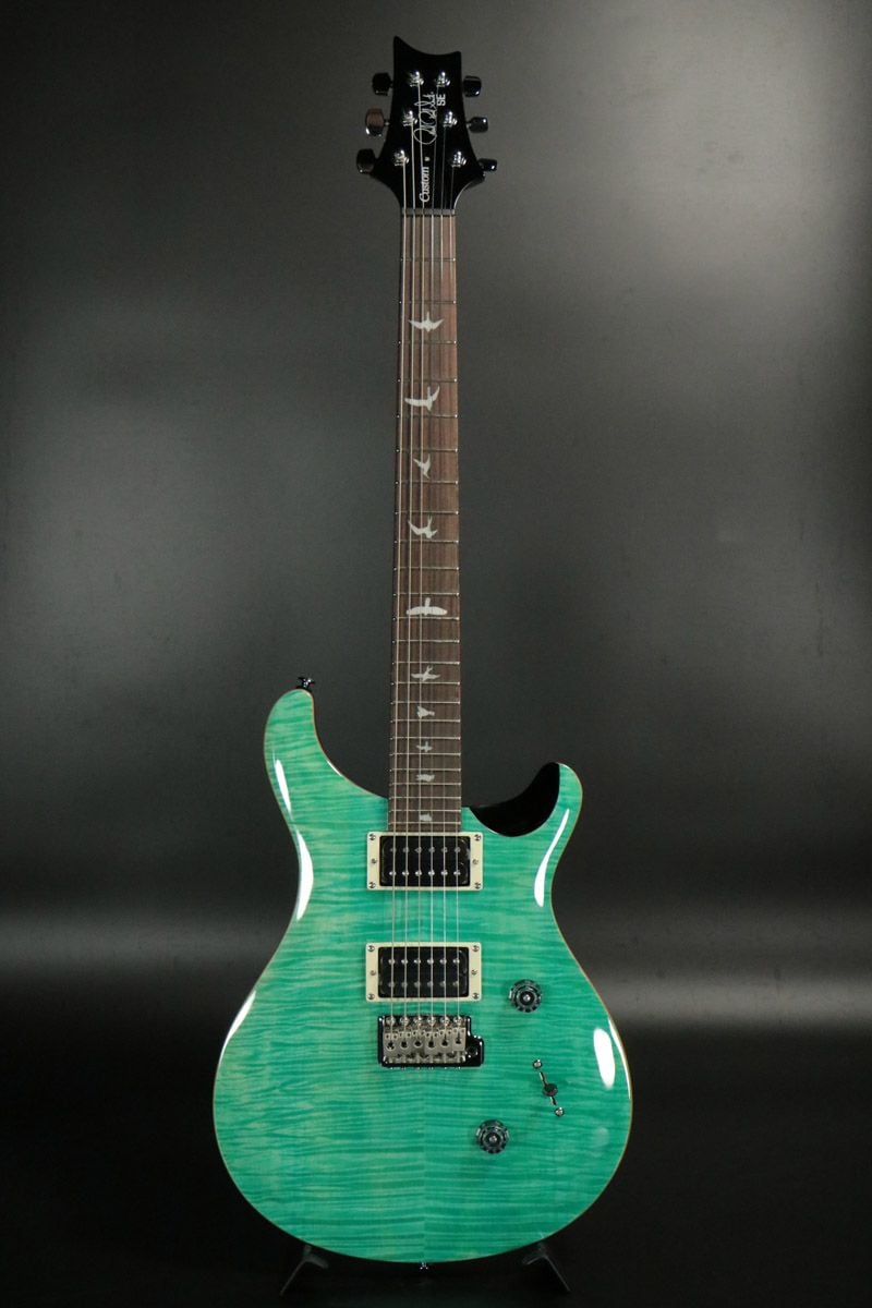 Paul Reed Smith (PRS) / SE Custom 24 Sapphire[2025年製] 【S/N