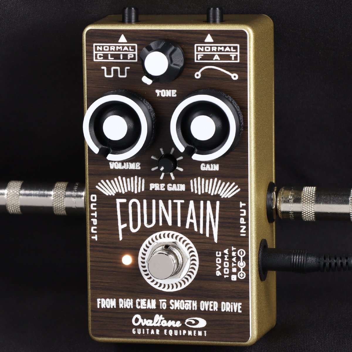 イシバシ楽器専売】【台数限定】Ovaltone / FOUNTAIN Limited Edition