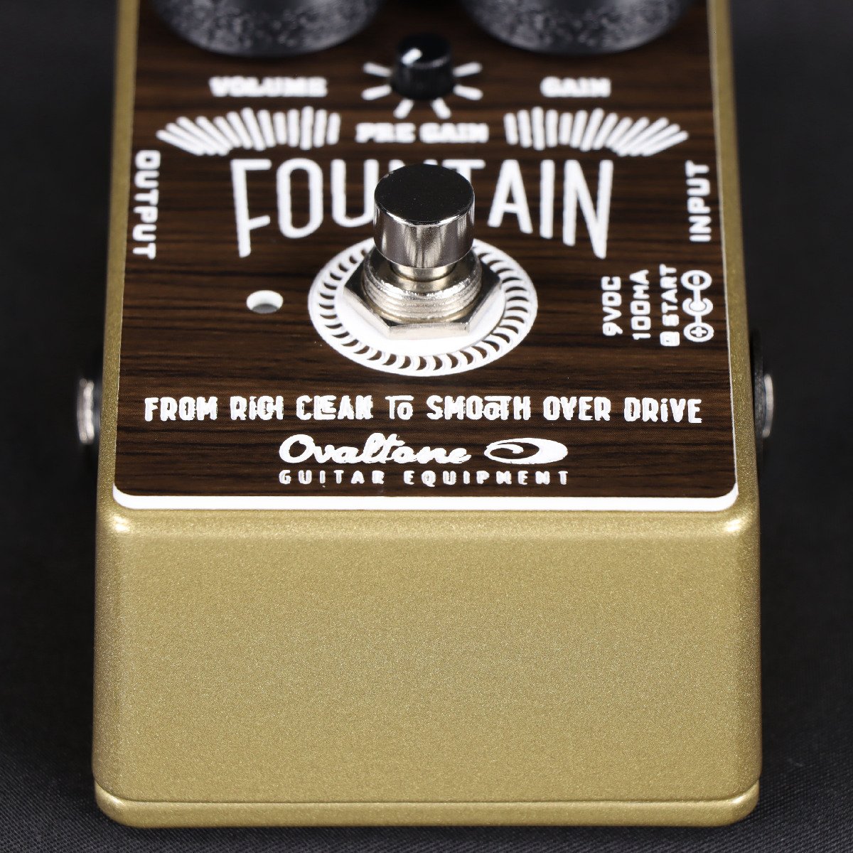 イシバシ楽器専売】【台数限定】Ovaltone / FOUNTAIN Limited Edition