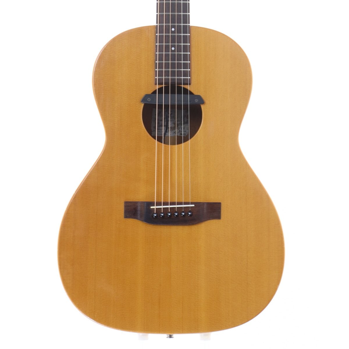 アコギ・エレアコ | イシバシ楽器