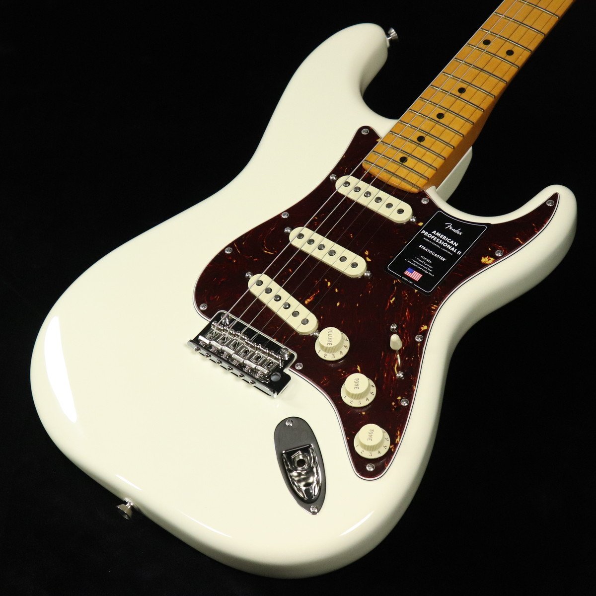 American Professional II Stratocasterの検索結果 | ギター、アコギ