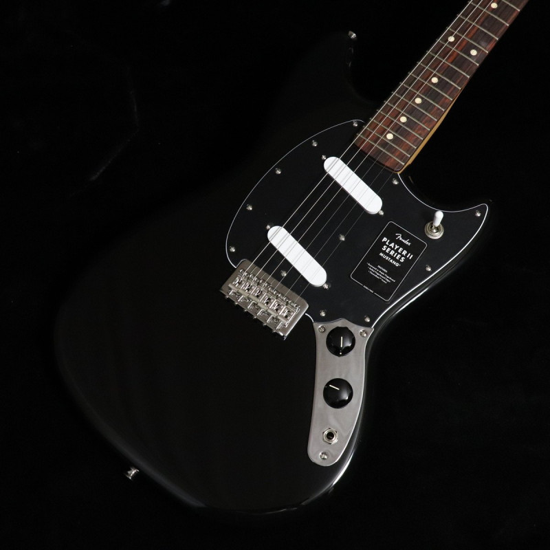 EX (ムスタングタイプ × FENDER MEXICO 他2条件)の検索結果 | ギター