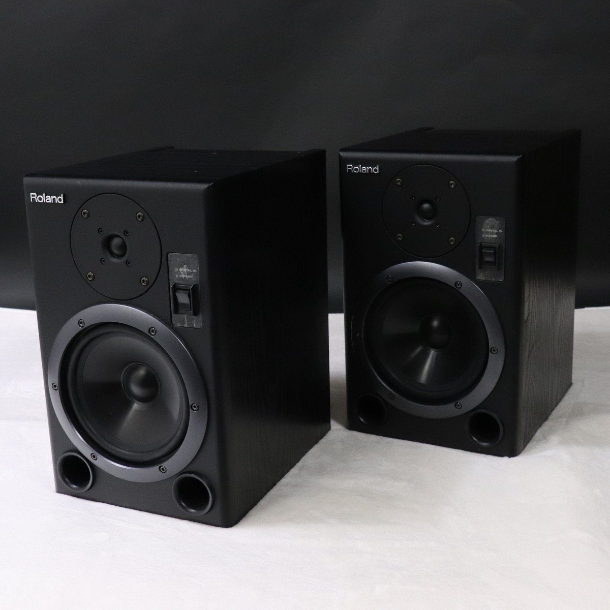 中古】Roland / DS-7 PAIR 【梅田店】 | パワードモニター | イシバシ楽器