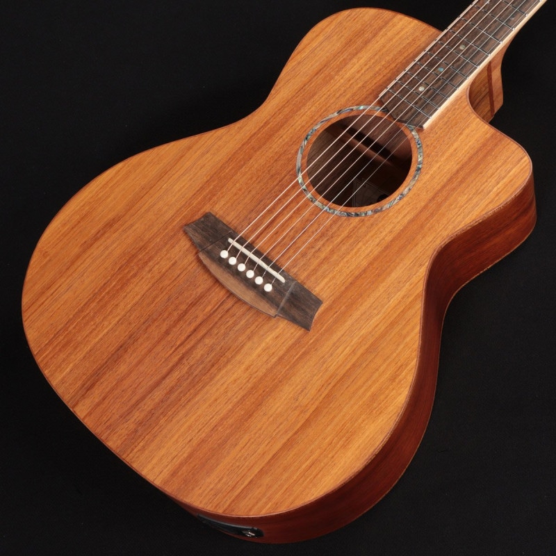 BL (COLE CLARK)の検索結果 | ギター、アコギ、管楽器などを扱う全国12