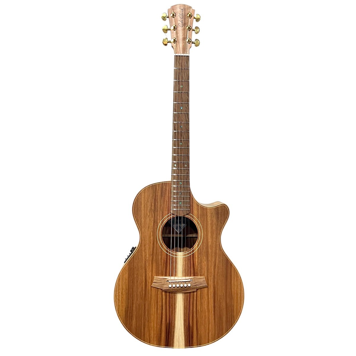 Cole Clark / Touring Series CCAN2EC-BLBL 2 Grade All Blackwood