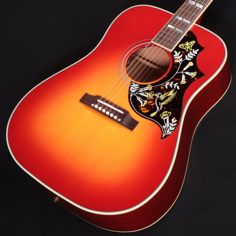 HUMMINGBIRD DOVE (心斎橋店)の検索結果 | ギター、アコギ、管楽器など