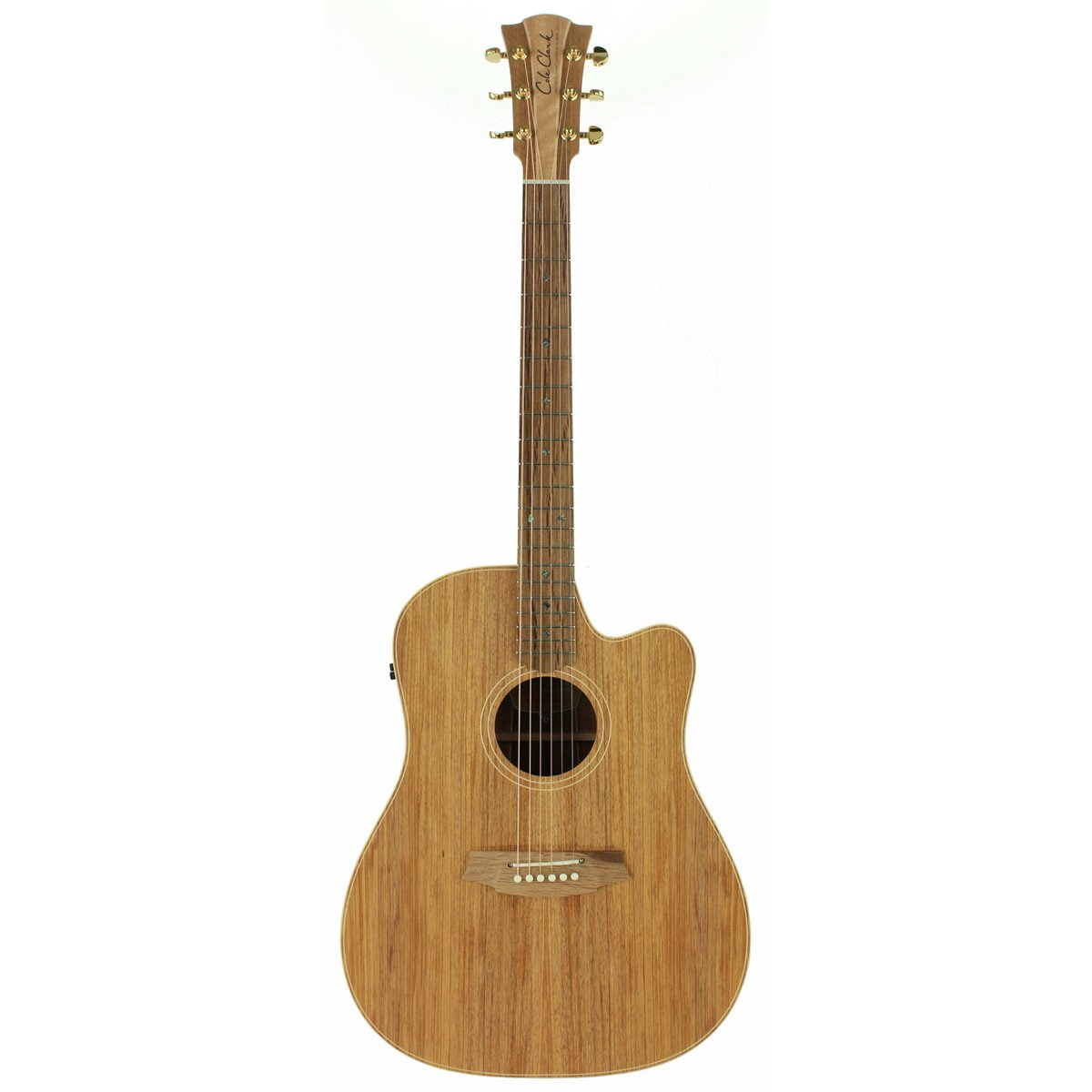 Cole Clark / Touring Series CCFL2EC-BLBL 2 Grade All Blackwood