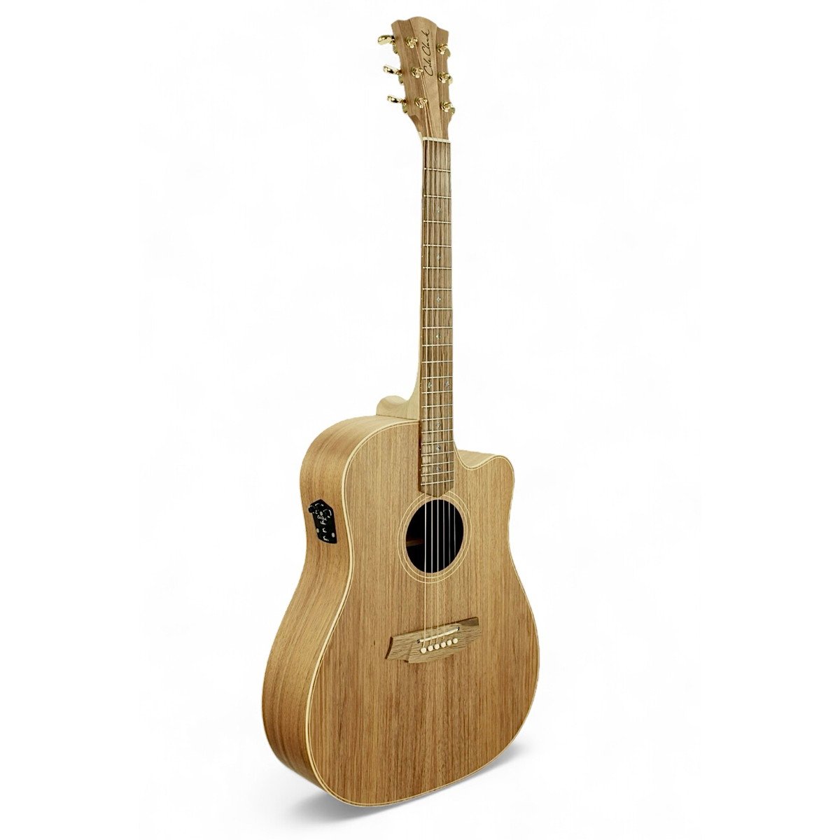 Cole Clark / Touring Series CCFL2EC-BLBL 2 Grade All Blackwood