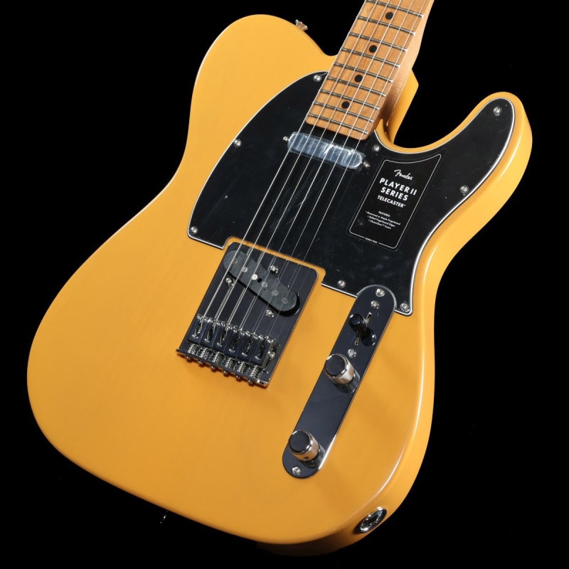 PLAYER (テレキャスタータイプ × FENDER MEXICO 他2条件)の検索結果