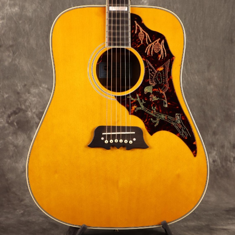 Epiphone (アコギ・エレアコ × WEBSHOP)の検索結果 | ギター、アコギ