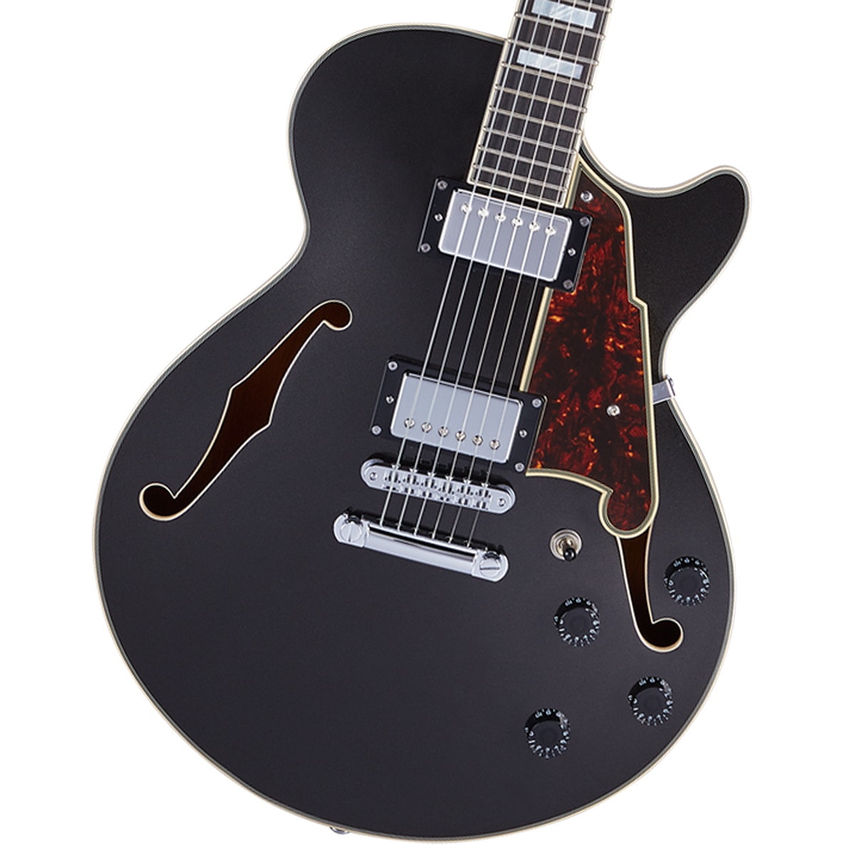 WEBSHOPクリアランスセール》D'Angelico / Premier SS Black Flake