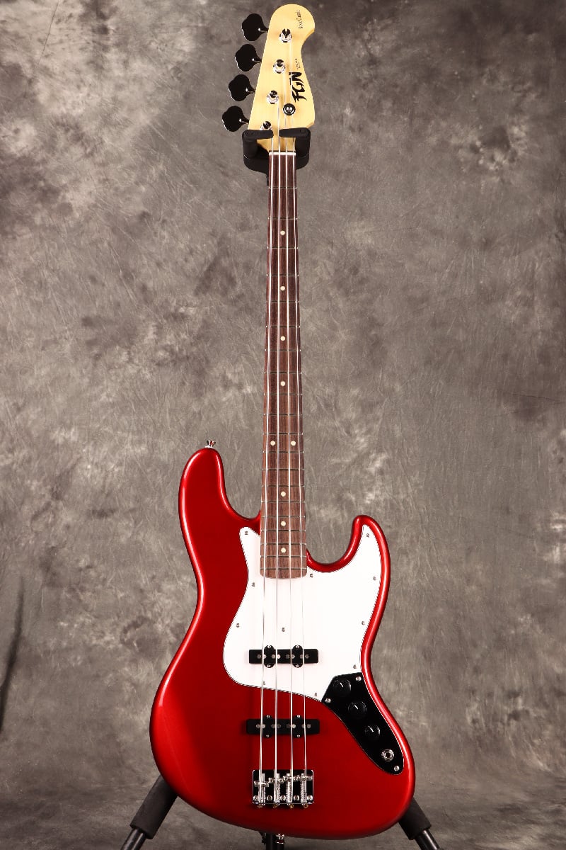 Fujigen(FGN) / BCJB100RBD CAR [日本製] [数量限定アウトレット