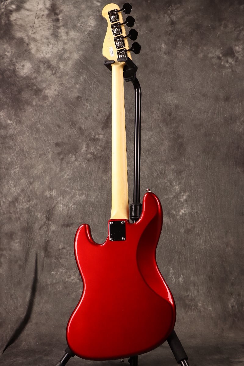 Fujigen(FGN) / BCJB100RBD CAR [日本製] [数量限定アウトレット