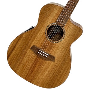 Cole Clark / AN Grand Auditorium Series CCSAN1EC-BLBL All Blackwood Studio Grade