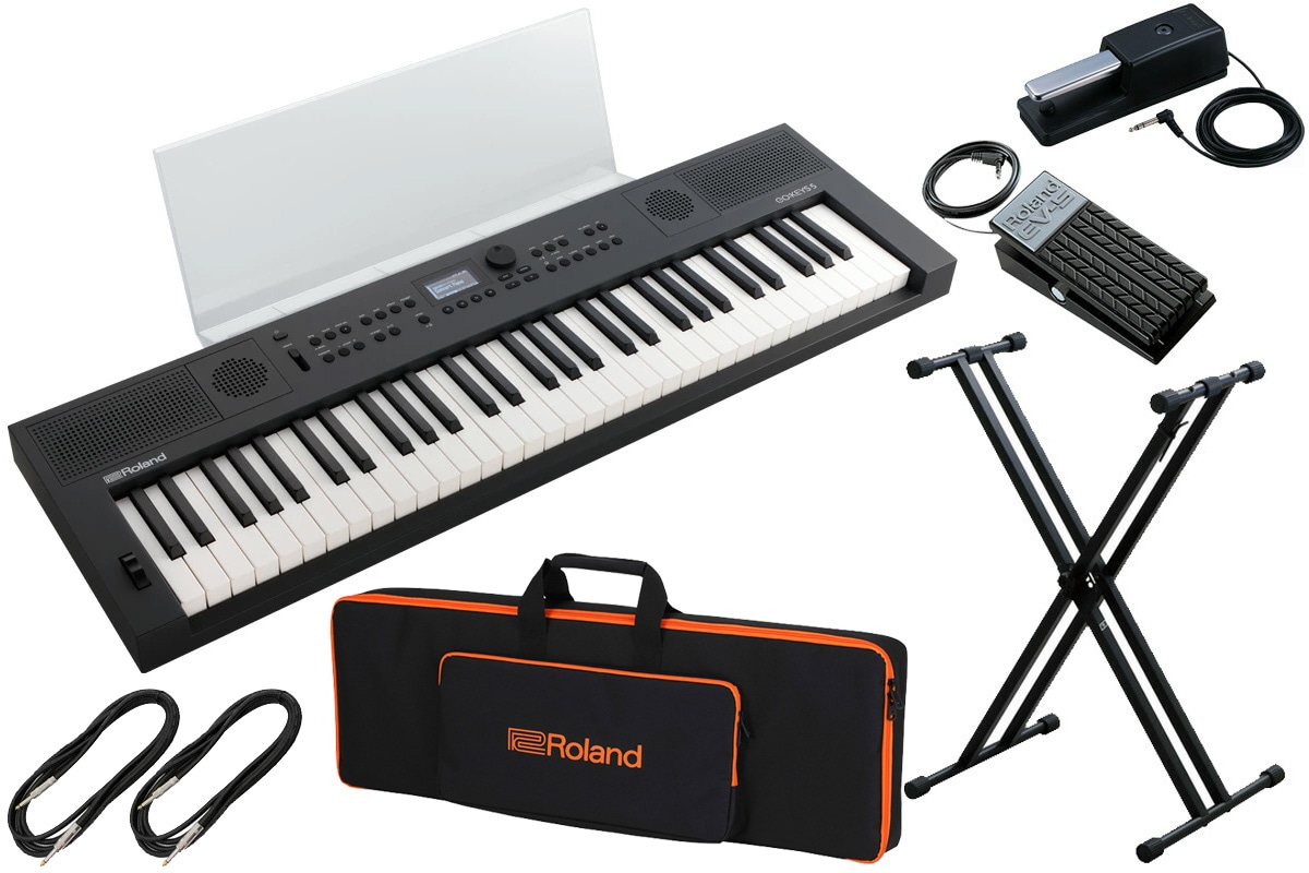 Roland GO:KEYS 本体&スタンド付き 専用ケース有 路上ライブセット