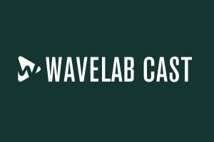 Steinberg スタインバーグ / WaveLab Cast 2【ダウンロード版メール納品 代引不可】