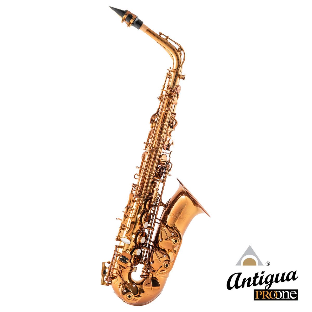 ANTIGUA / AS PROONE AM アンバーフィニッシュ アンティグア アルト