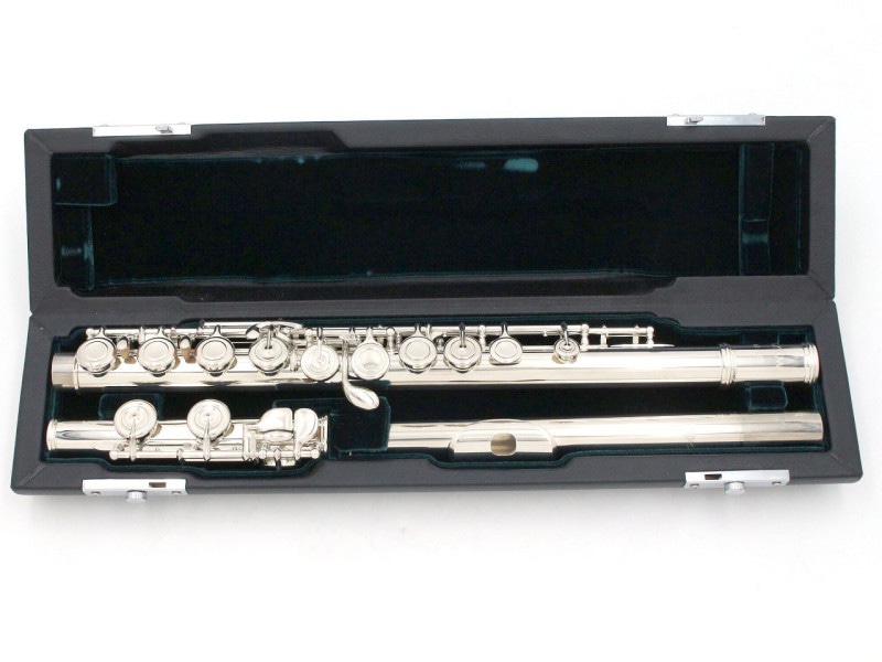 ケース (フルート)の検索結果 | ギター、アコギ、管楽器などを扱う全国