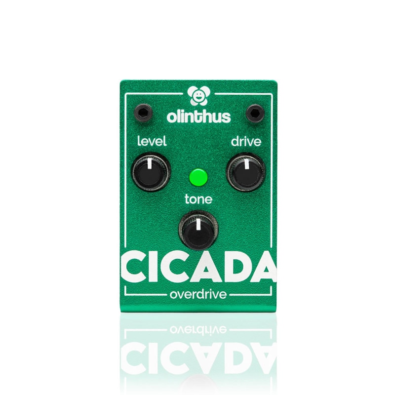Olinthus オリンサス / CICADA オーバードライブ【国内正規品