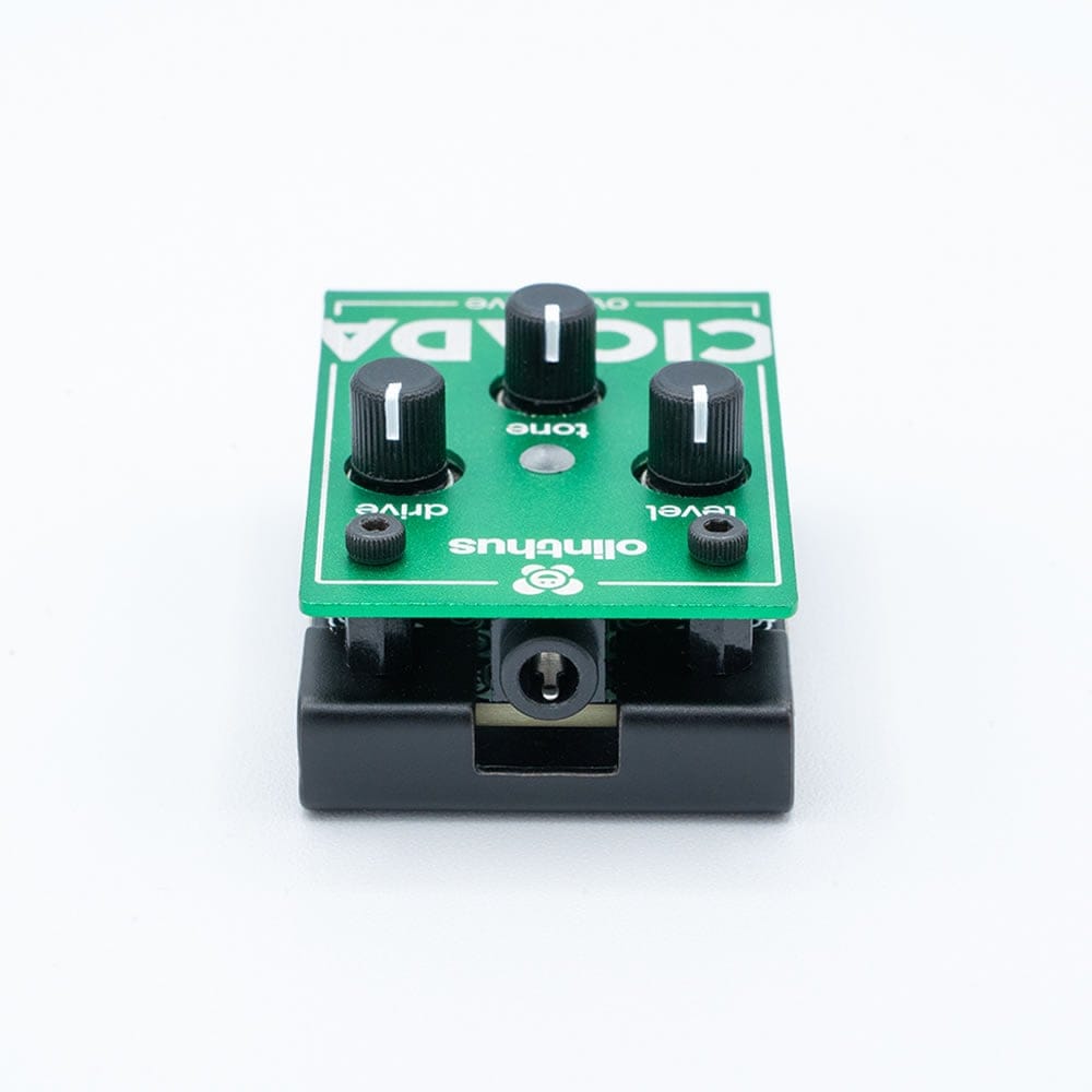Olinthus オリンサス / CICADA オーバードライブ【国内正規品
