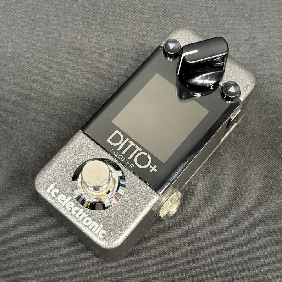 中古】TC ELECTRONIC / Ditto+ Looper 【新宿店】【12/18 値下げ