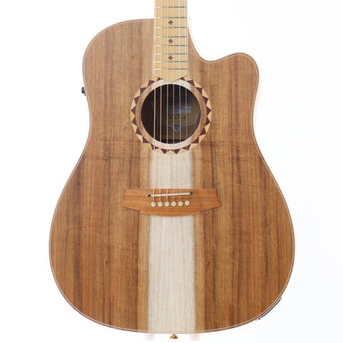 200,000円〜309,999円 × COLE CLARK)の検索結果 | ギター、アコギ