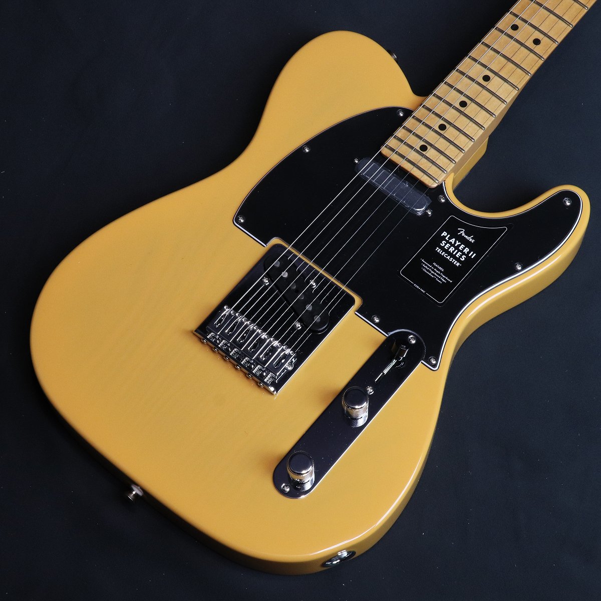 Fender player ii MN ACB Chambered Ash 軽量 Fender player ii MN ACB Chambered Ash 軽量