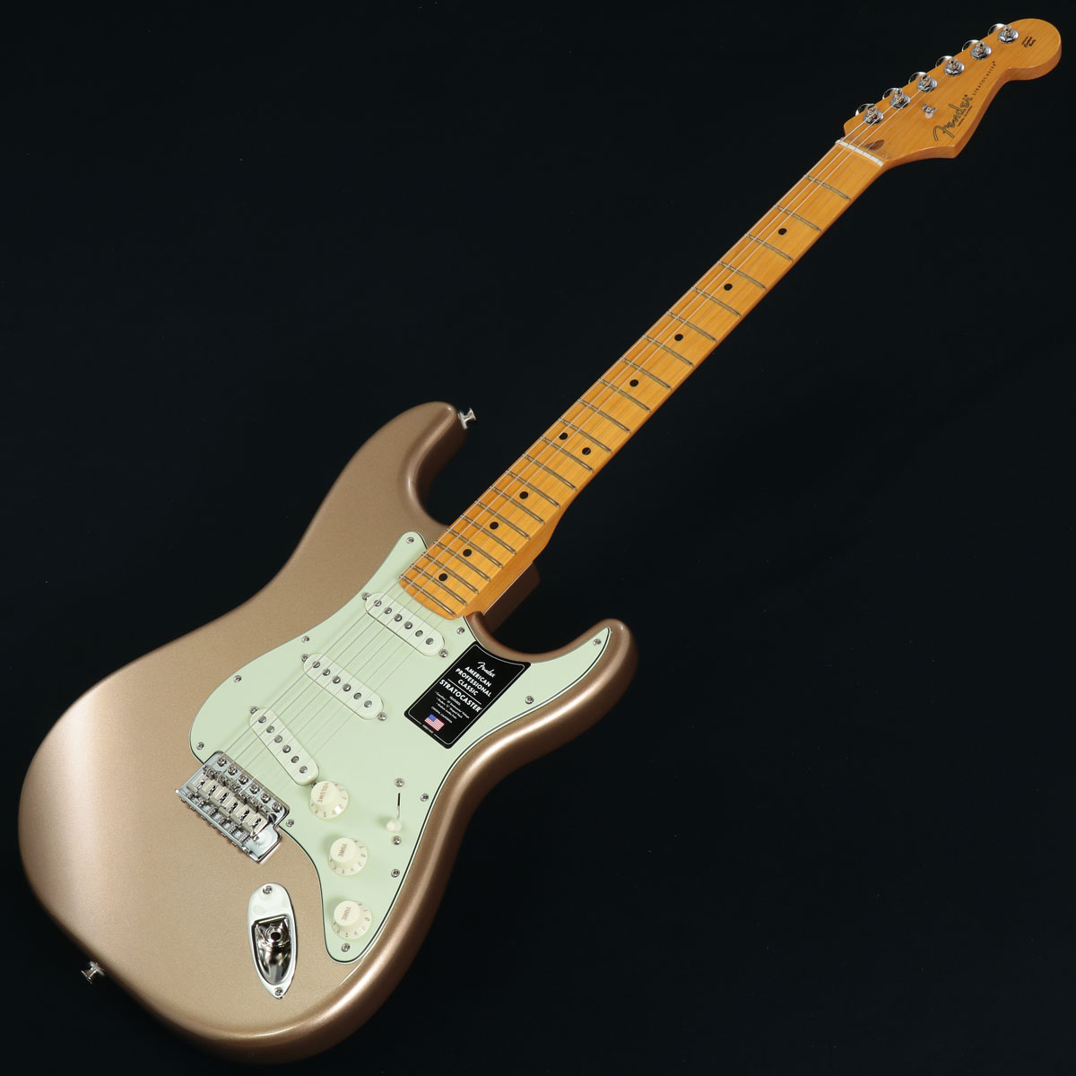 Stratocaster (ストラトキャスタータイプ × ゴールド)の検索結果