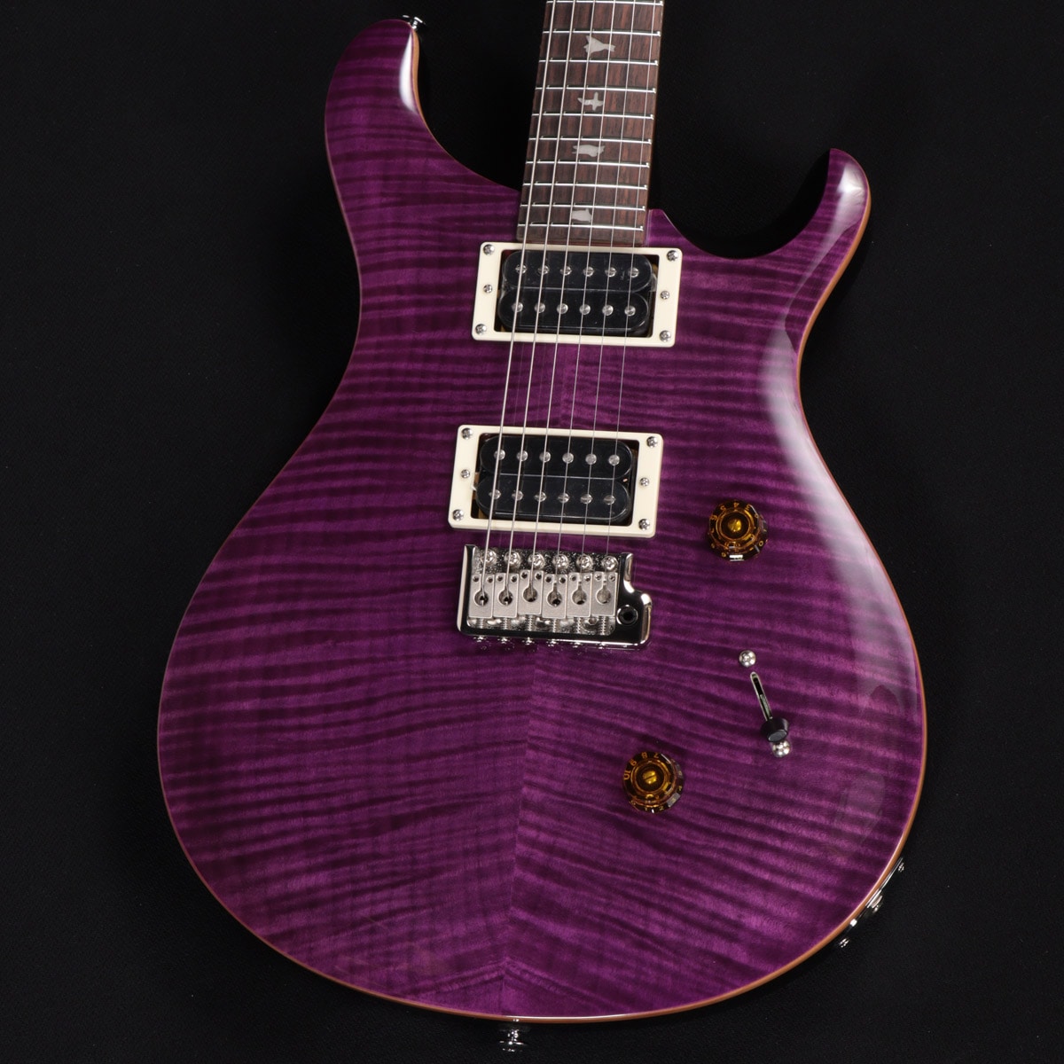 Paul Reed Smith / 2025 SE Custom 24 Amethyst ≪S/N:CTIHG118096