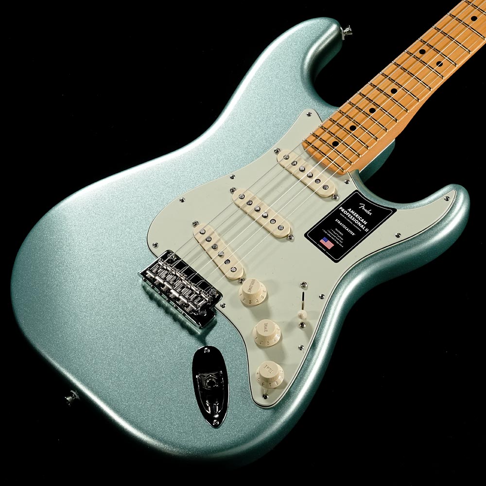Fender American Professional II Stratocasterの検索結果 | ギター