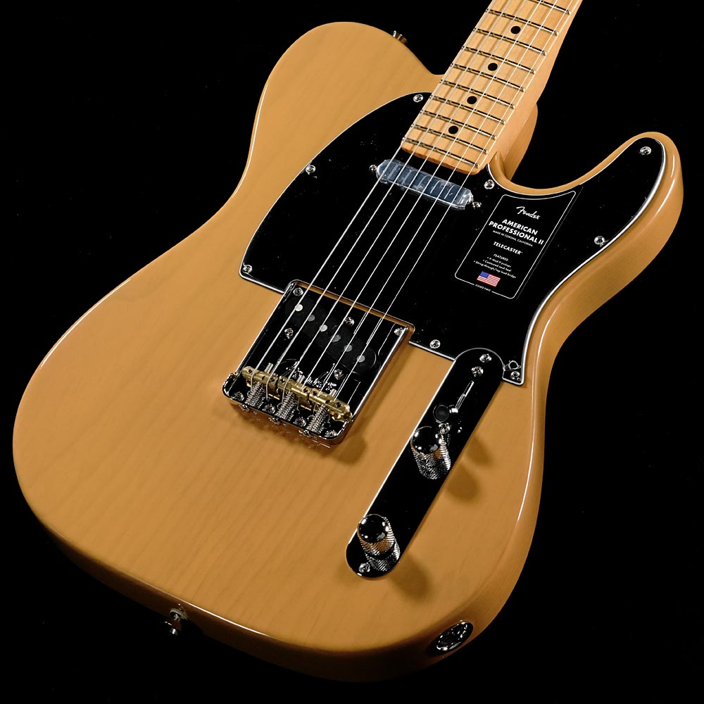 Fender American Professional II Telecasterの検索結果 | ギター
