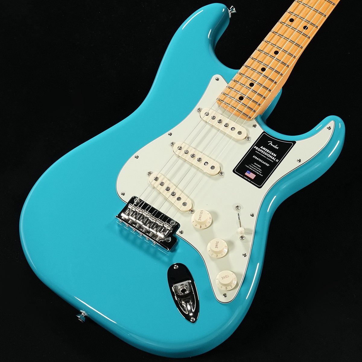 ストラトキャスタータイプ × FENDER USA × ブルー)の検索結果 | ギター