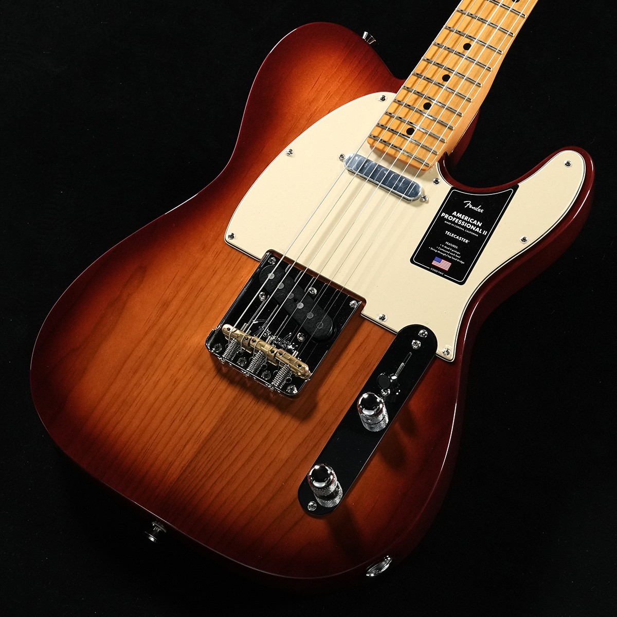 テレキャスタータイプ × FENDER USA)の検索結果 | ギター、アコギ