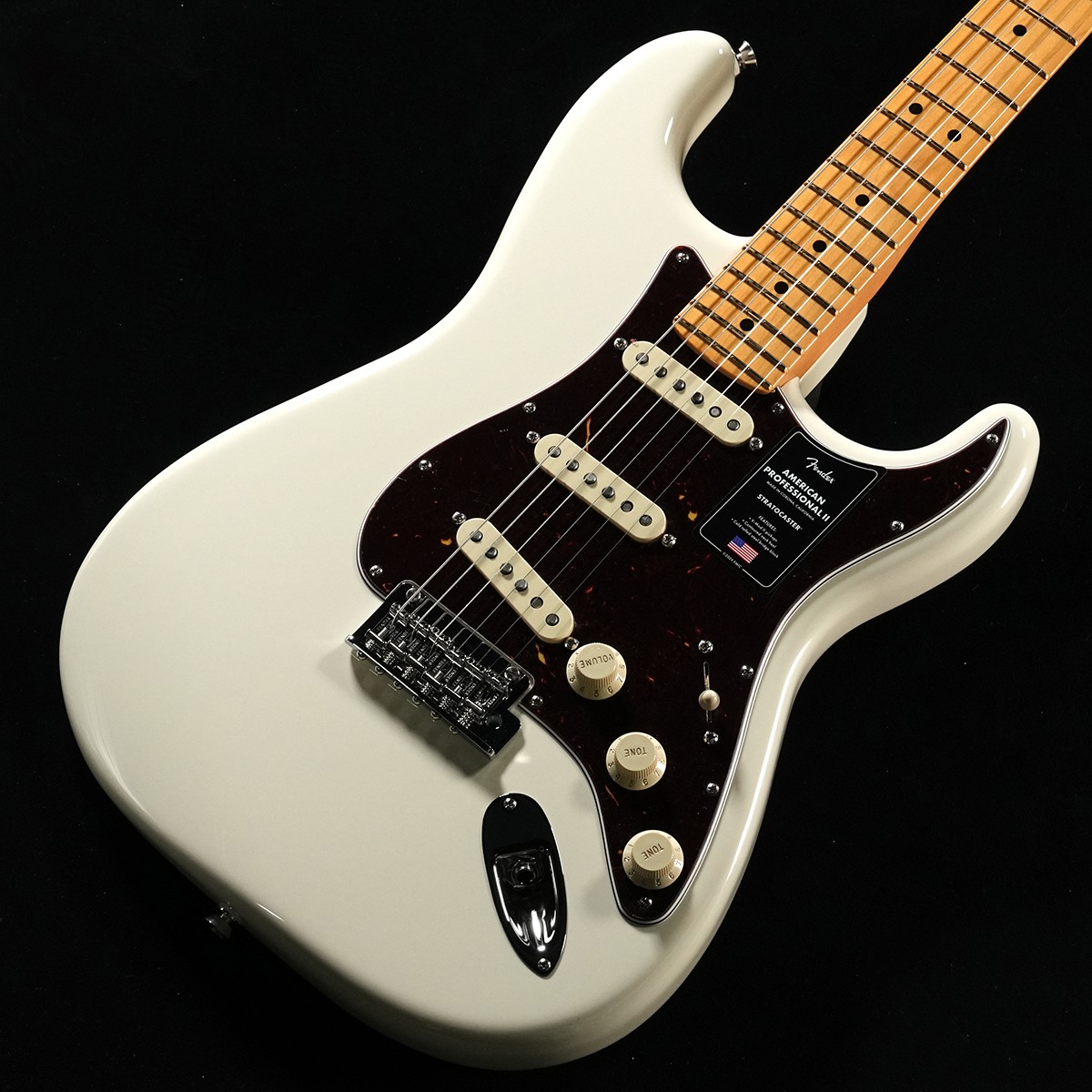 American Professional II Stratocasterの検索結果 | ギター、アコギ