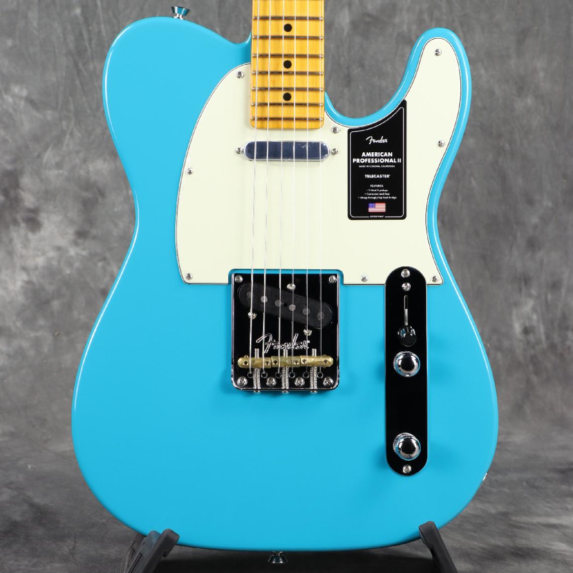 Fender / American (テレキャスタータイプ × ブルー)の検索結果